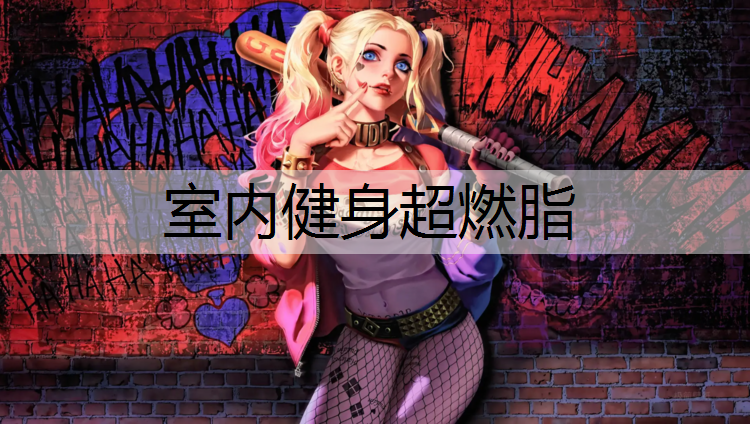 室内健身超燃脂
